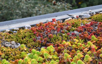 the cost of Millerston green roof installation