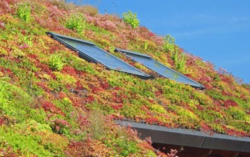 Millerston living roof systems
