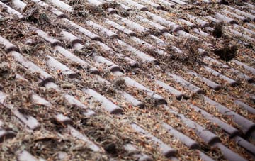 Millerston roof cleaning companies